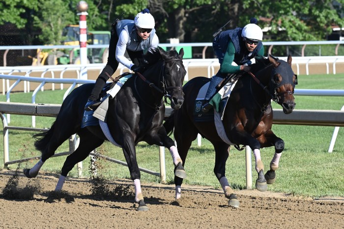 two horses training ahead of the Belmont Stakes