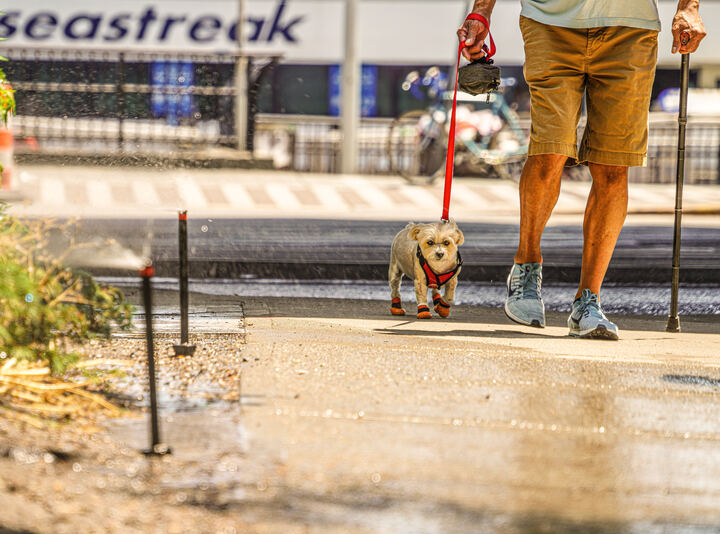 A man and dog