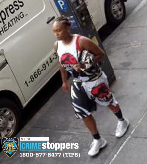 Jurassic Park fan sucker-punched senior woman on West Village street: cops 3 The suspect in the assault