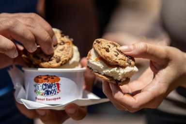 Chocolate Cookies