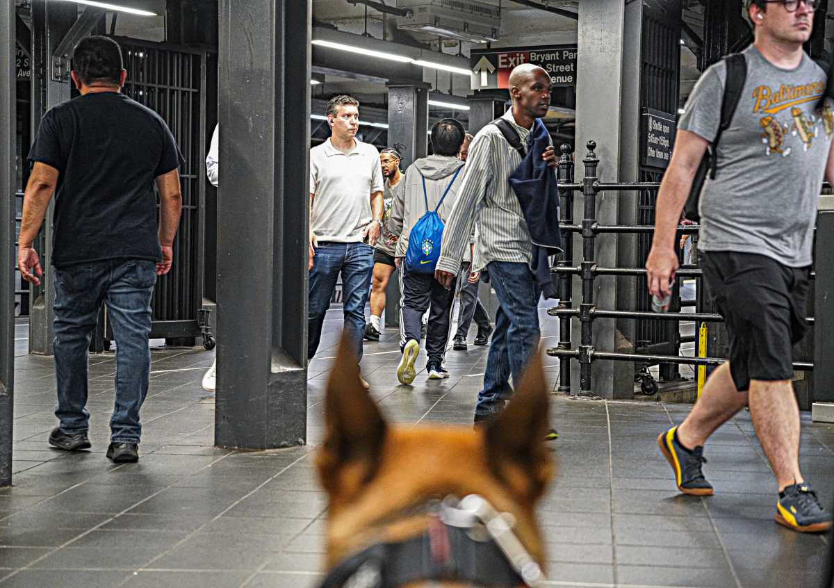 A Dog