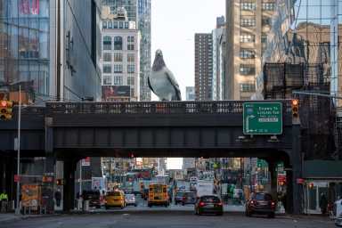 21-Foot Pigeon Sculpture Coming to High Line
