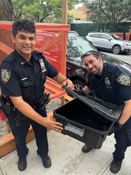 Cops catch snake jay-slithering across West Village street 2