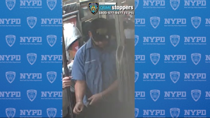 Cops searching for perv who fondled a girl's buttocks on Manhattan 6 train 4 man wearing dark hat and blue shirt wanted to touching teen's buttocks on 6 train