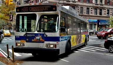 A Bus