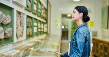 Op-Ed | The humanities are very important to a CUNY training | New York News