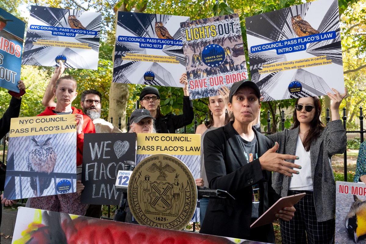 Third part of Flaco's Laws calls for replacing reflective building windows 2 City Council member Tiffany Cabán told the crowd the bill would protect biodiversity, nature, and the environment.
