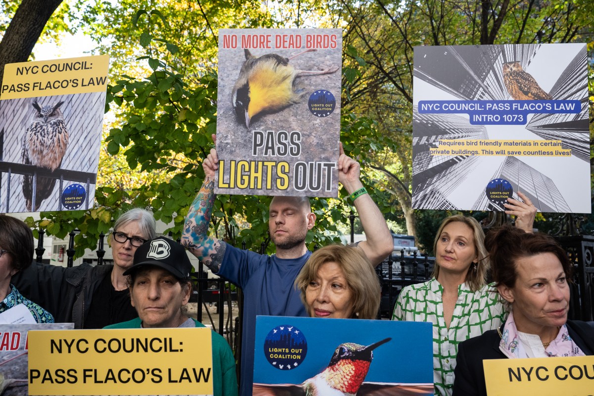 Third part of Flaco's Laws calls for replacing reflective building windows 4 Lights Out Coalition, elected officials, and animal rights activists celebrate Intro 1073.