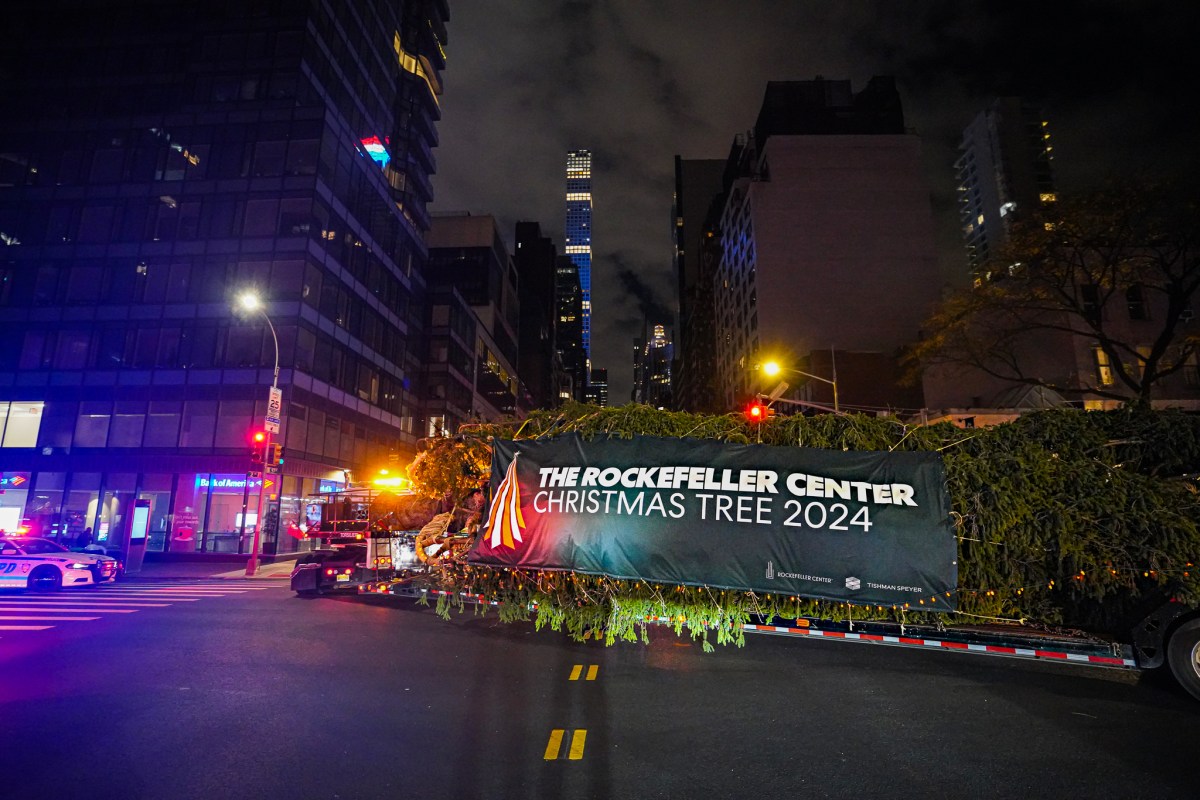 How the NYPD helped deliver the Rockefeller Center Christmas tree and usher in the holidays in NYC 10