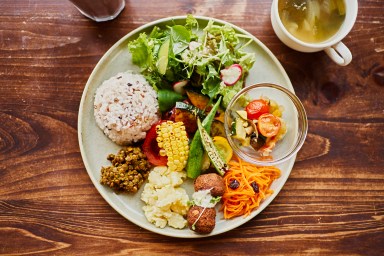 Op-Ed | Consuming vegan advantages ourselves and our planet | New York News