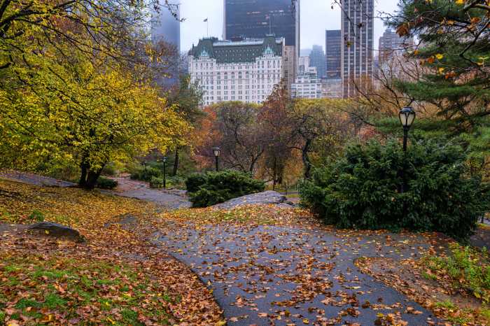 View of the Plaza Hotel seen from Central Park on a foggy morning in the fall