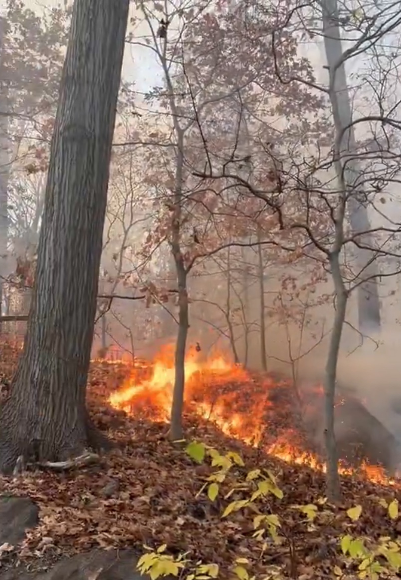 Wildfire hits Manhattan's Inwood Hill Park amid city's ongoing drought 2 Wildfire at Inwood Hill Park