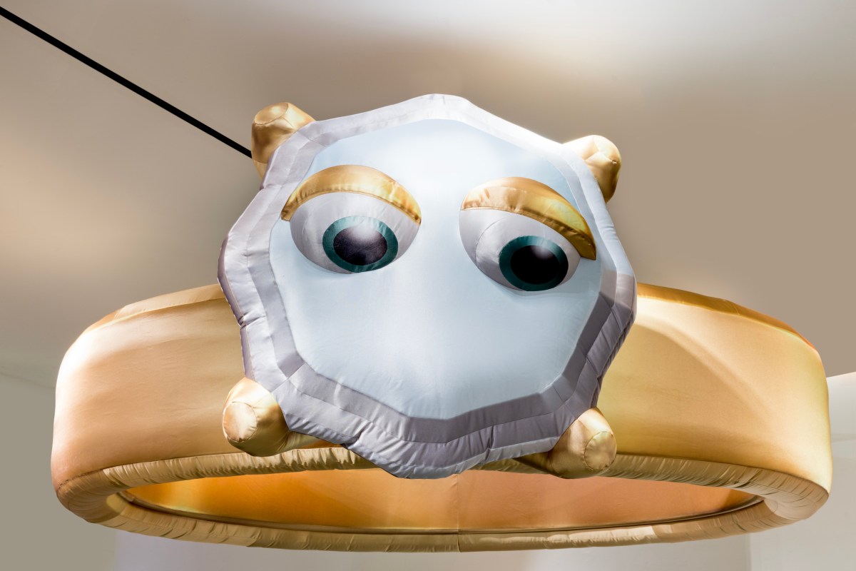 Wonder Ring