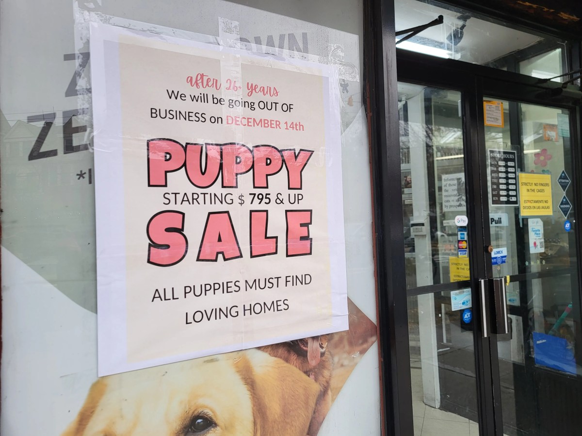 A doggone shame? NYC pet shop owners say statewide puppy/kitten sales ban is forcing them out of business 2 Bronx pet shop going out of business sign
