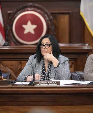 Council Member Joann Ariola.