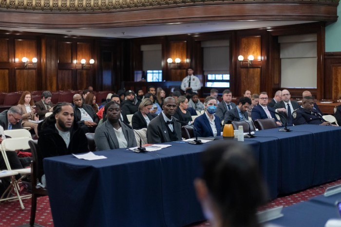 A panel of witnesses spoke to the city council committee.