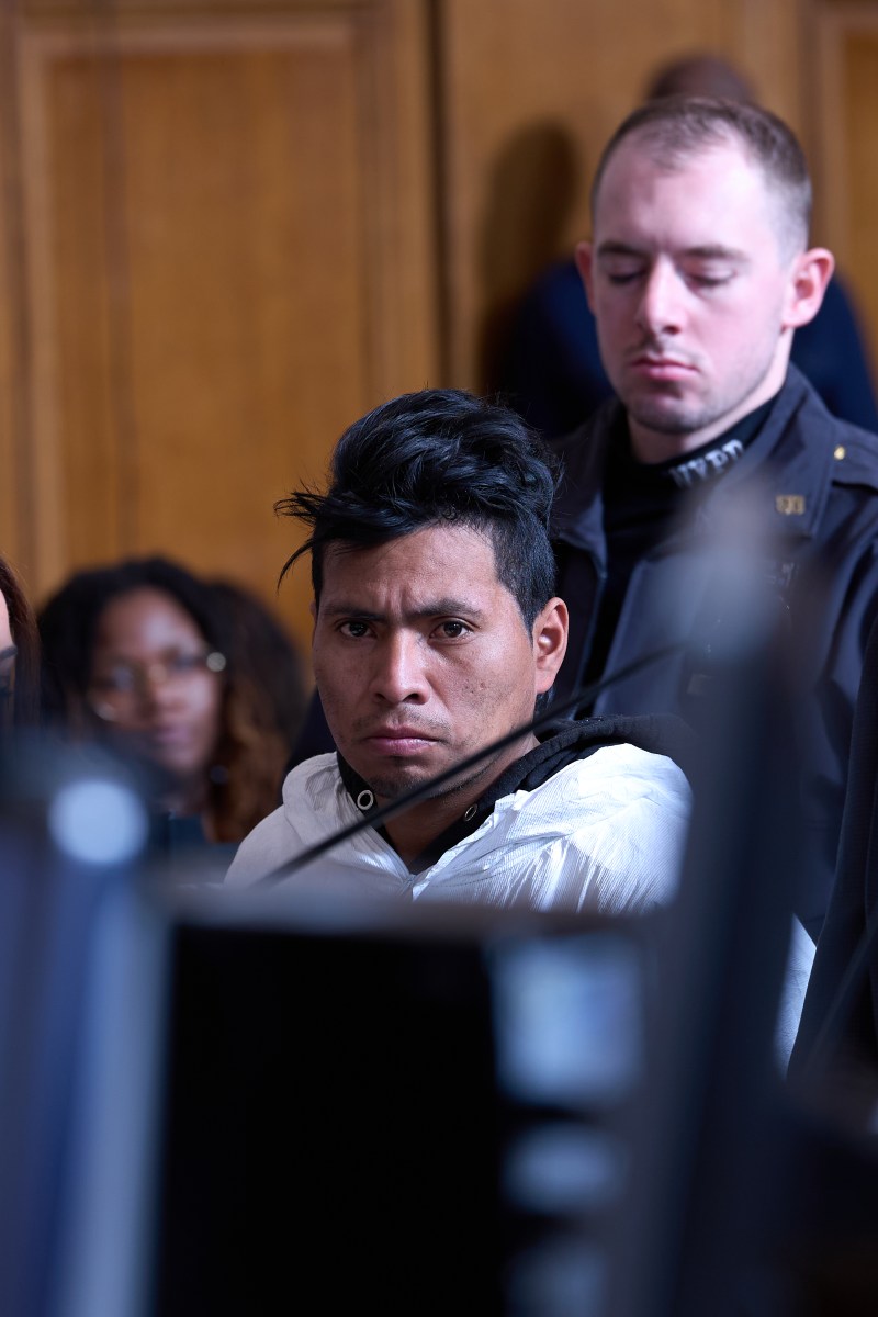 Alleged Brooklyn subway arsonist who burned woman alive tried to fan deadly flames throughout train: DA 2