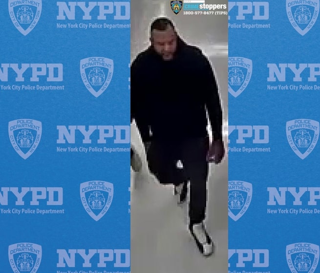 Bronx rapist who attacked young woman