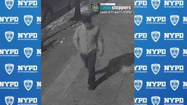 Rape attempt suspect in Queens