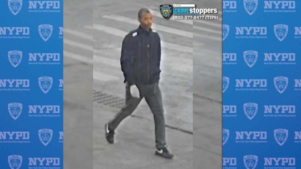 Suspect in deadly Bronx stabbing