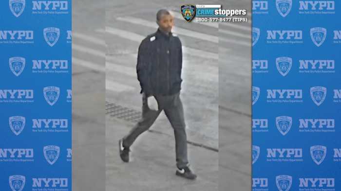 Suspect in deadly Bronx stabbing