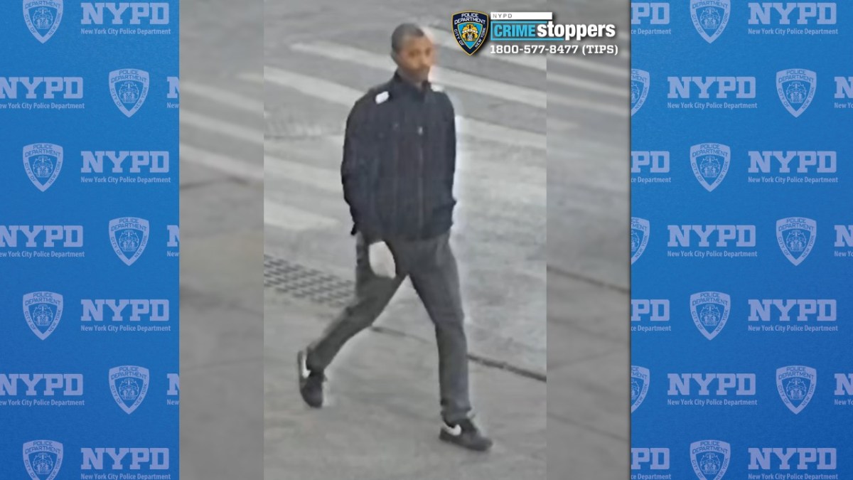 Suspect in deadly Bronx stabbing
