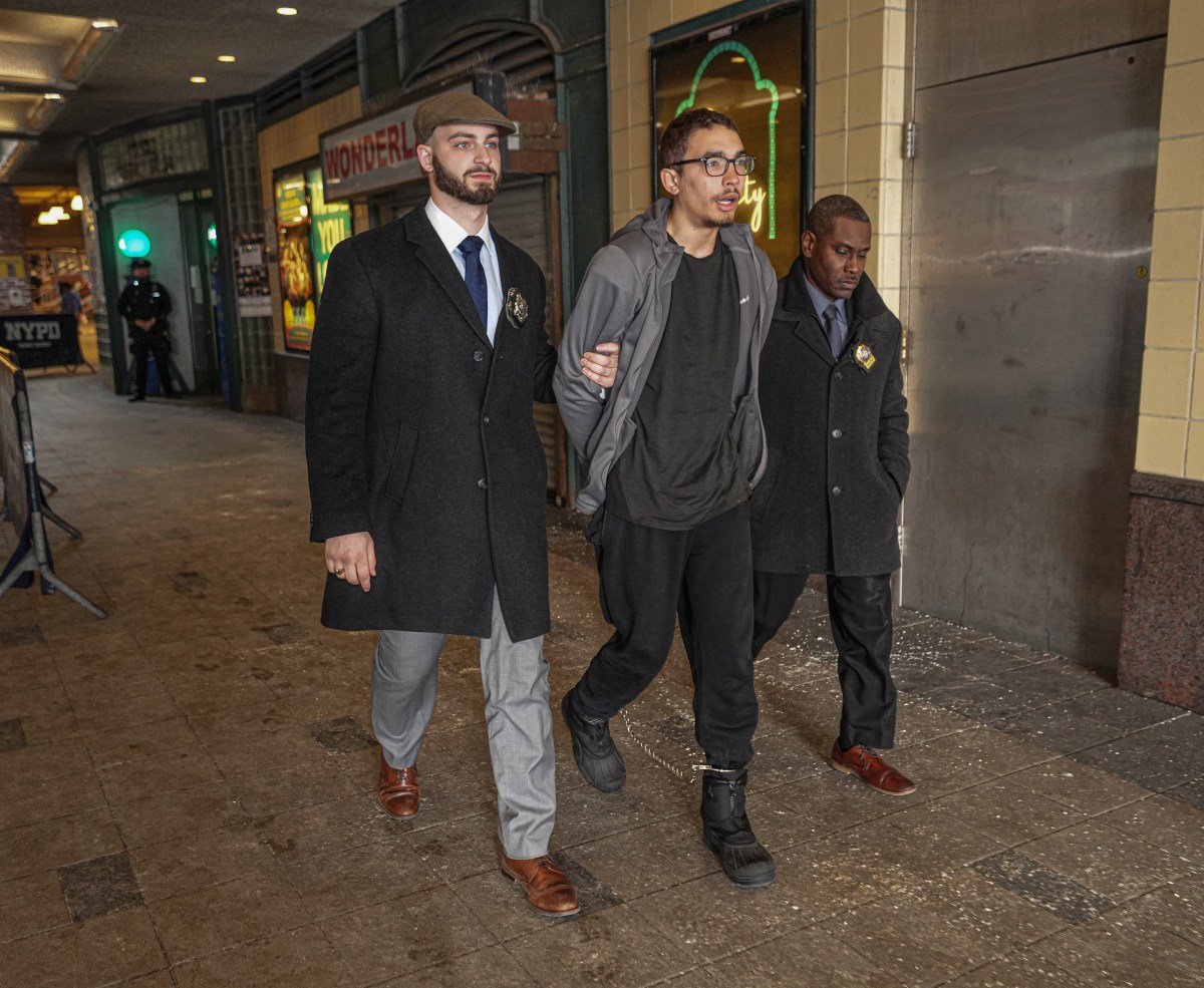 Teenager who allegedly pushed Brooklyn straphanger on to subway tracks claimed victim 'said mean things' about him 2