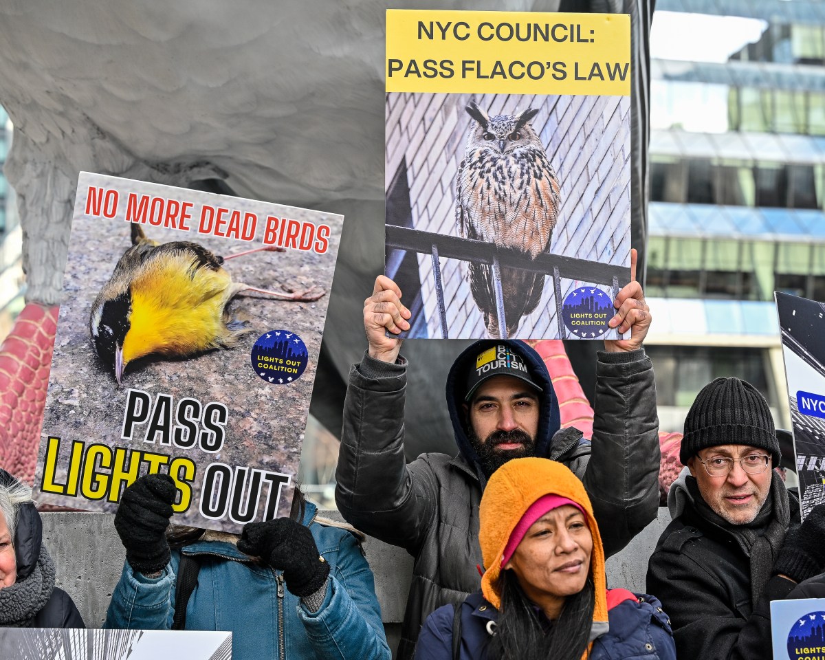 The year for NYC birds: Animal rights activists push for bird protection legislation on National Bird Day 2 While celebrating National Bird Day, animal rights activists urged the New York City Council to pass the remaining two bills of Flaco's Law. (Photo by Gabriele Holtermann)