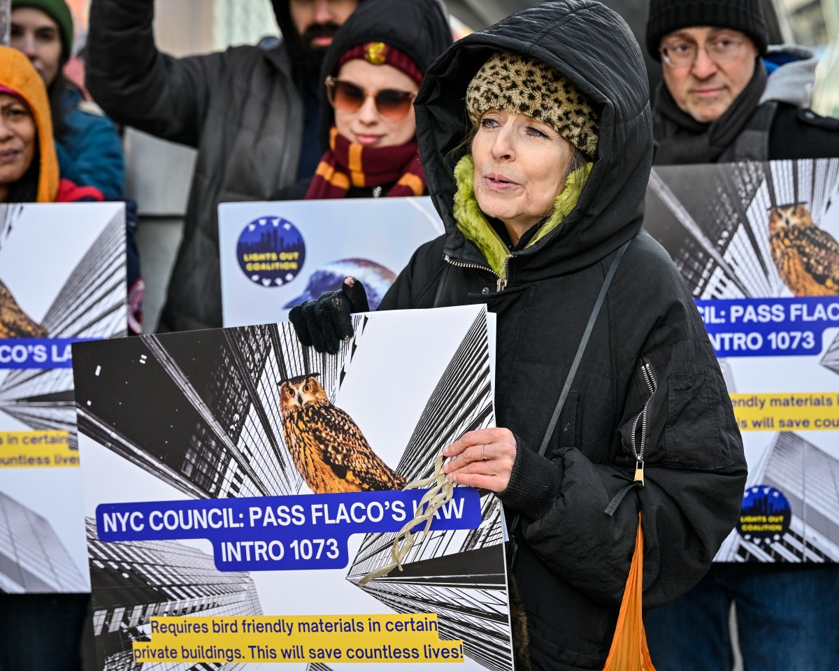 The year for NYC birds: Animal rights activists push for bird protection legislation on National Bird Day 3
