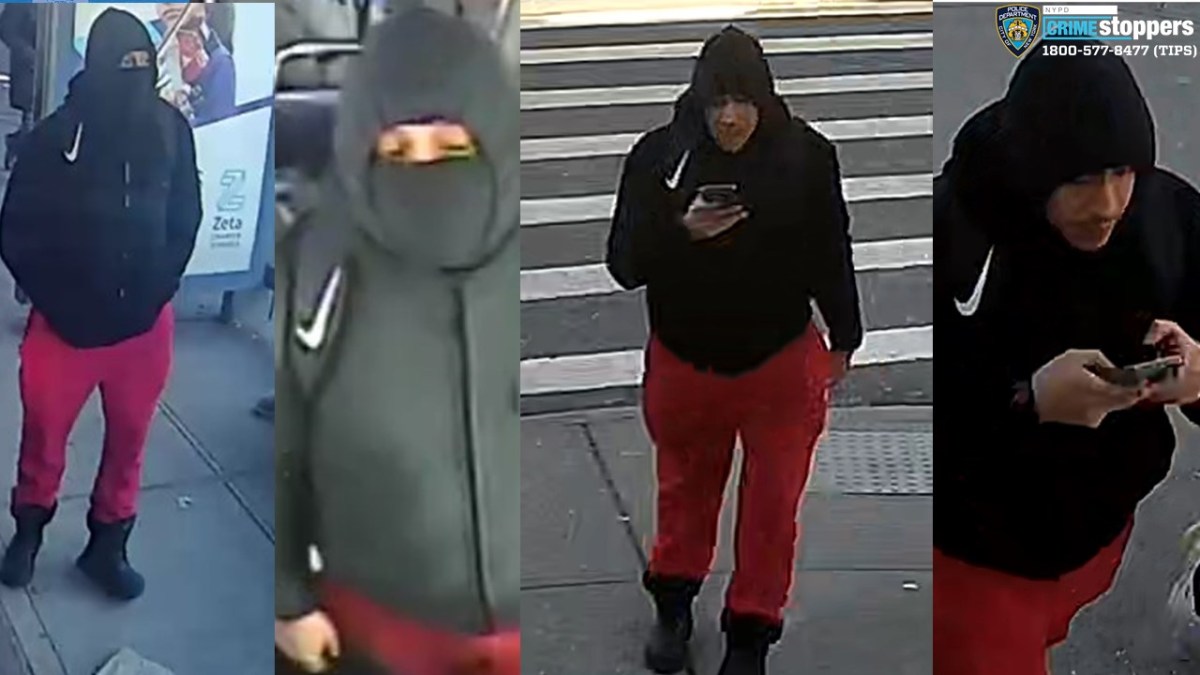 The NYPD is seeking this individual in connection with an assault on a 74-year-old man on a BX9 bus in the Bronx.