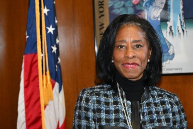 Presiding Appellate Division Justice Dianne T. Renwick