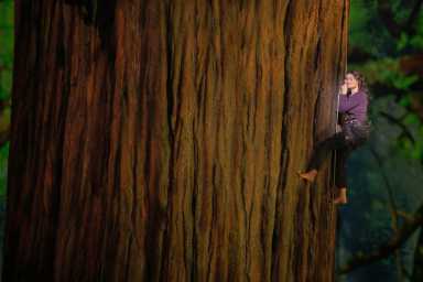 Idina Menzel in Redwood on Broadway