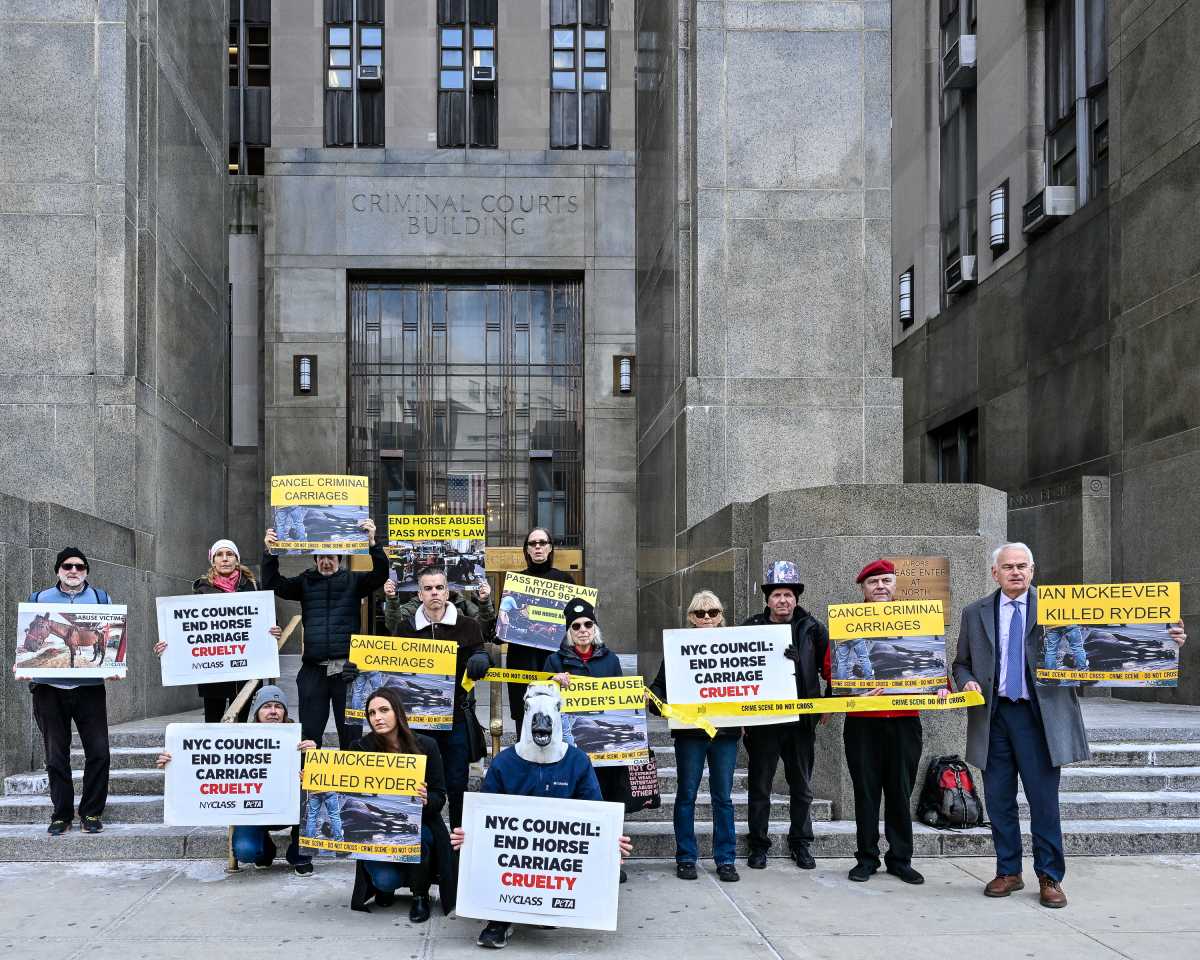 NYCLASS and animal rights activists rallied outside the Criminal Courthouse calling on the city council to pass Ryder's Law.