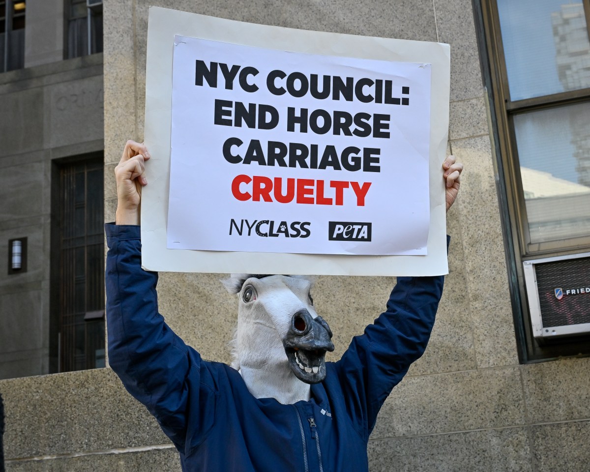 amny NYCLASSRally 022425 10