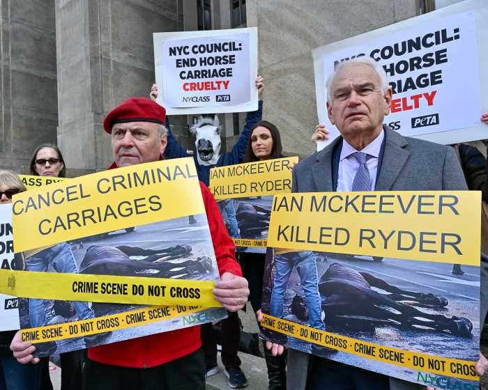 Not guilty: Long Island man acquitted after NYC carriage horse collapse case 2