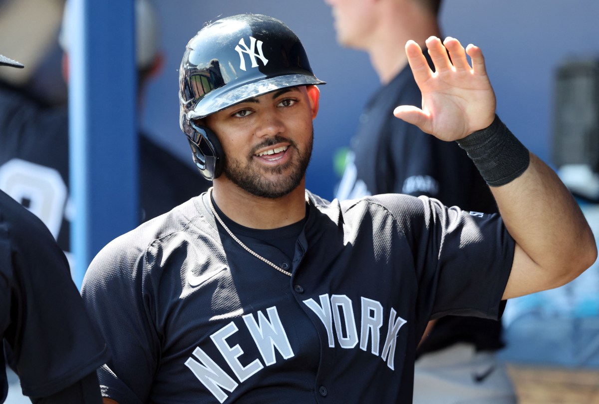 Jasson Dominguez Yankees