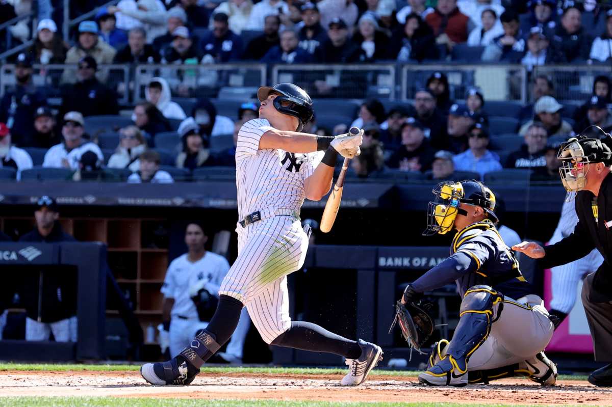 Anthony Volpe Yankees bats