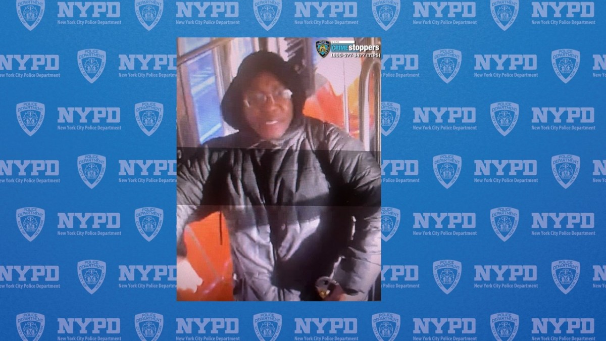 Suspect in Bronx subway assault