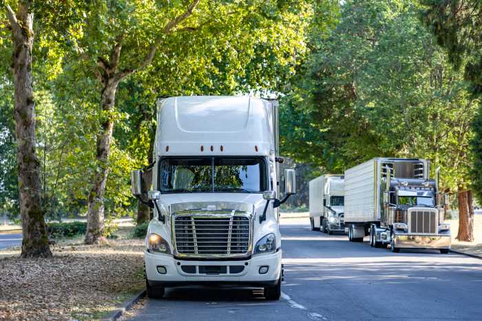Line of trucks parked on tree-lined street