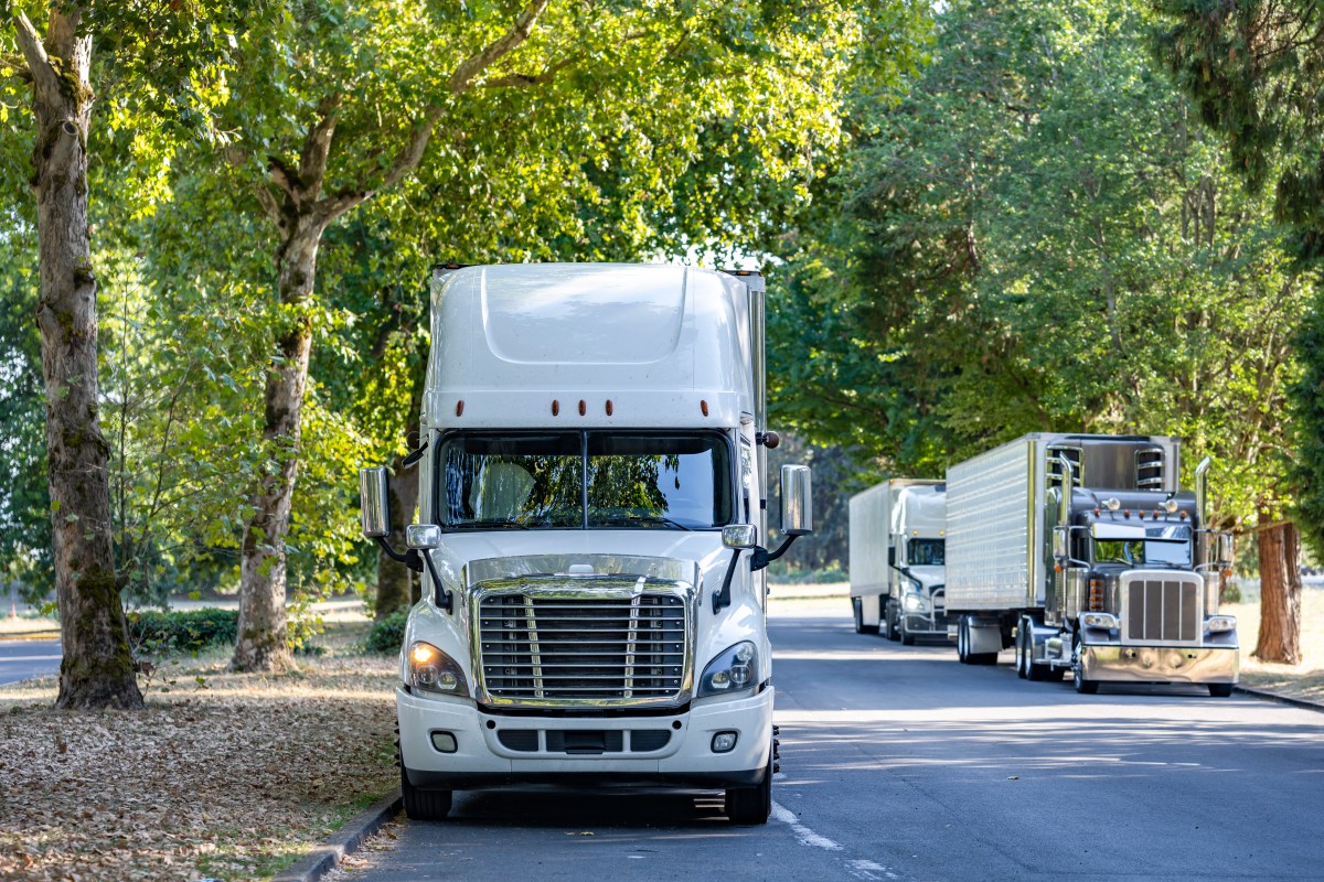 Pay load: DOT introduces metered parking for trucks and other commercial vehicles in outer-borough neighborhoods 2 Line of trucks parked on tree-lined street