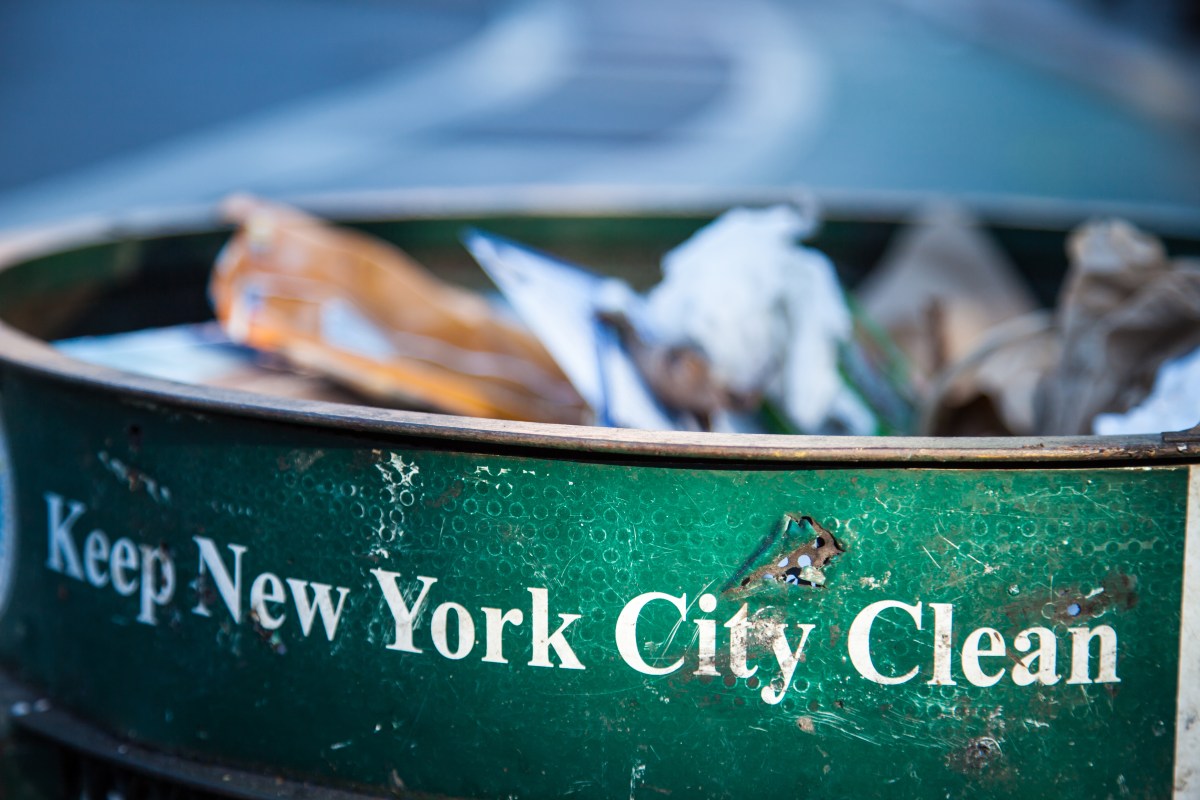 Spring cleansing: NYC will increase fines to cease unlawful dumping in metropolis parks | New York News