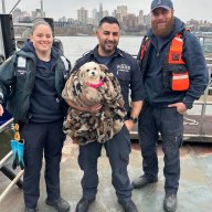 Saving a best friend: NYPD rescues dog found struggling to stay afloat in East River 24