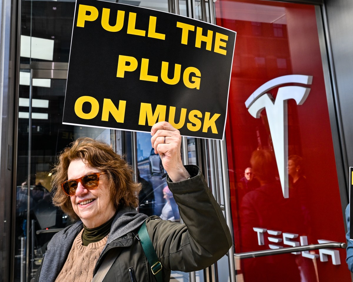 TeslaProtest 1