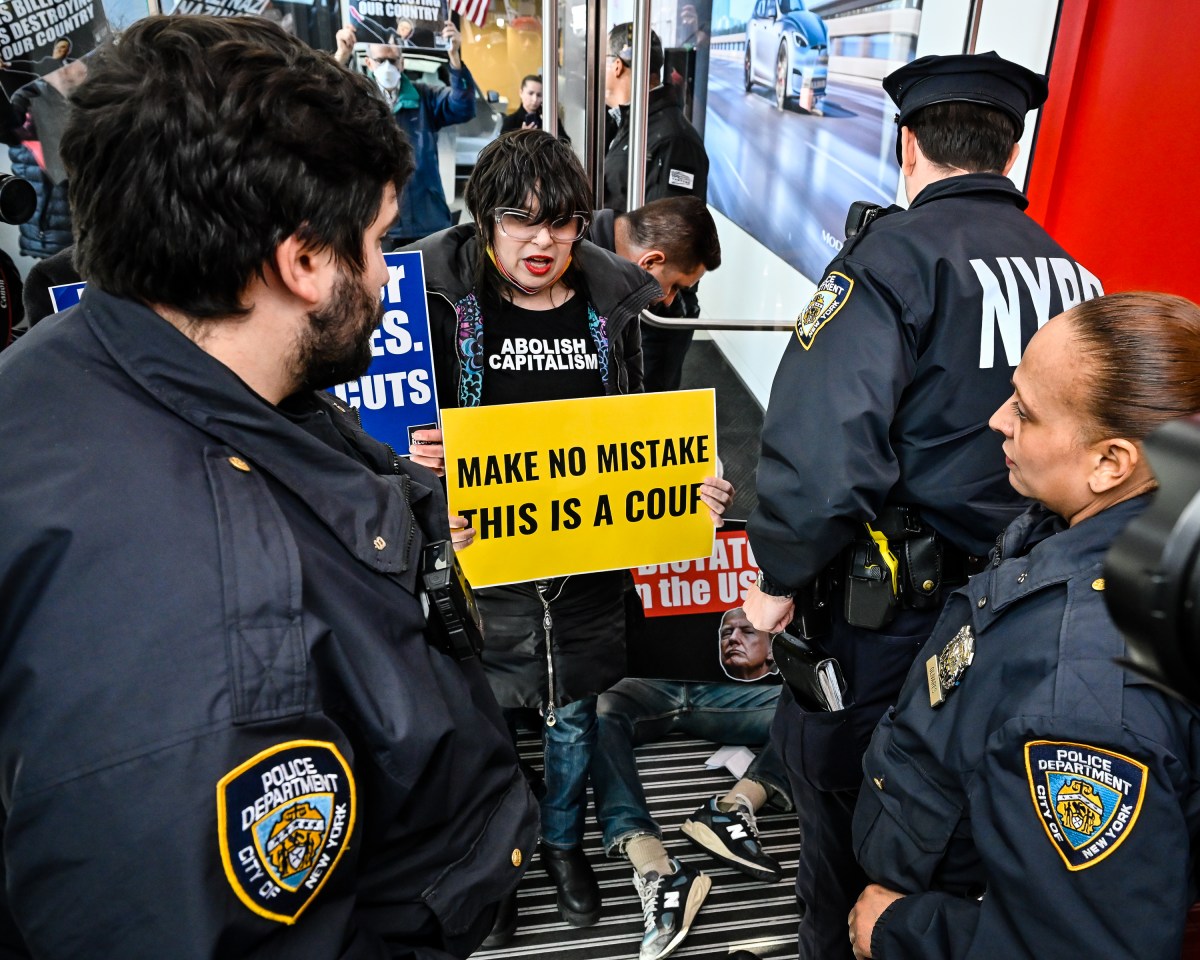 TeslaProtest 8