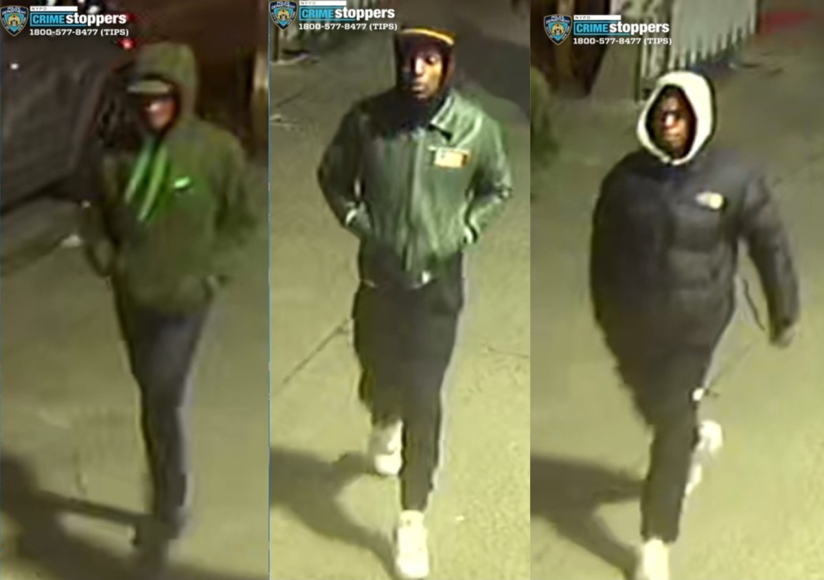 Bronx robbers sought for violent mugging that left woman with fractured skull | amNewYork