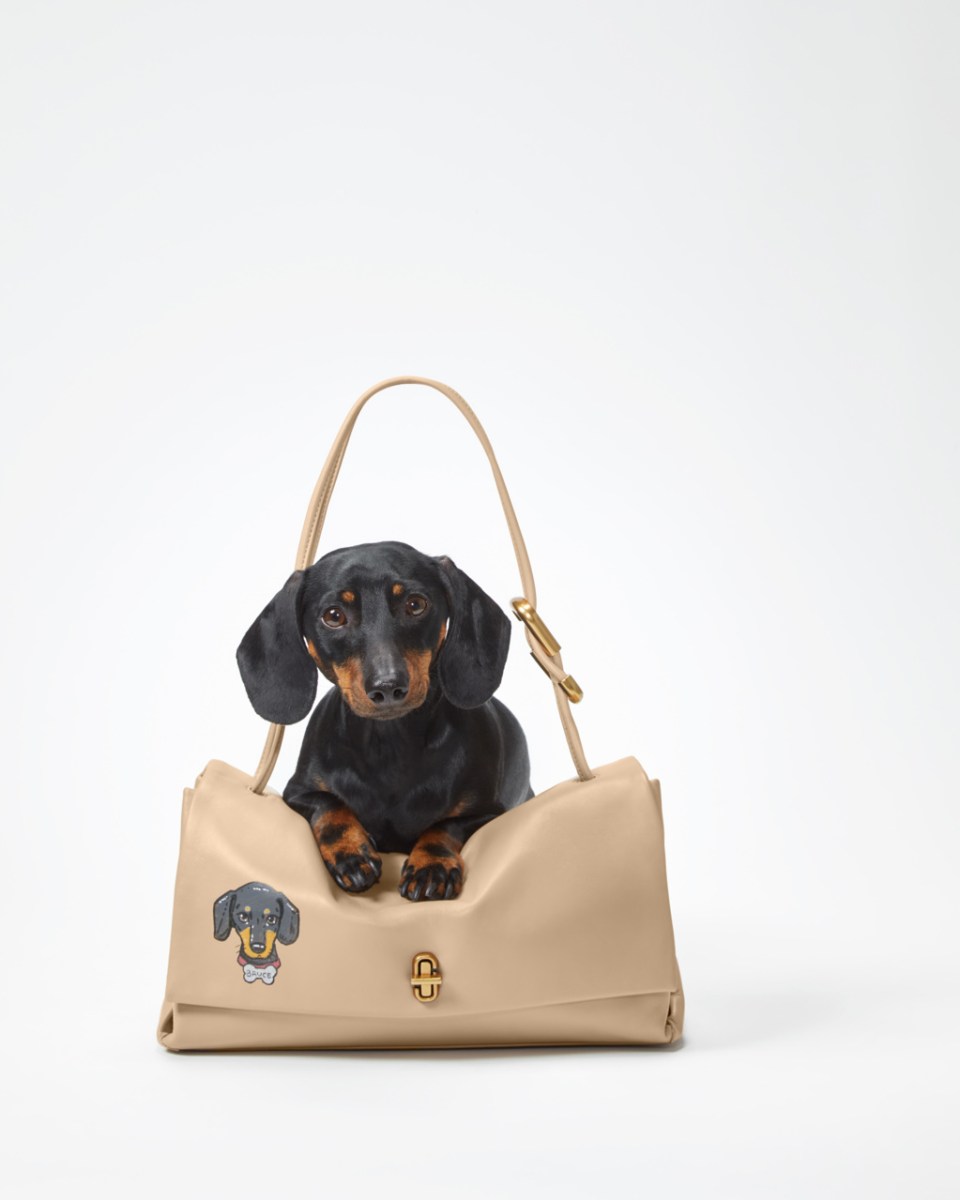 a daschund leans on a Marc Jacobs bag with his face painted on it