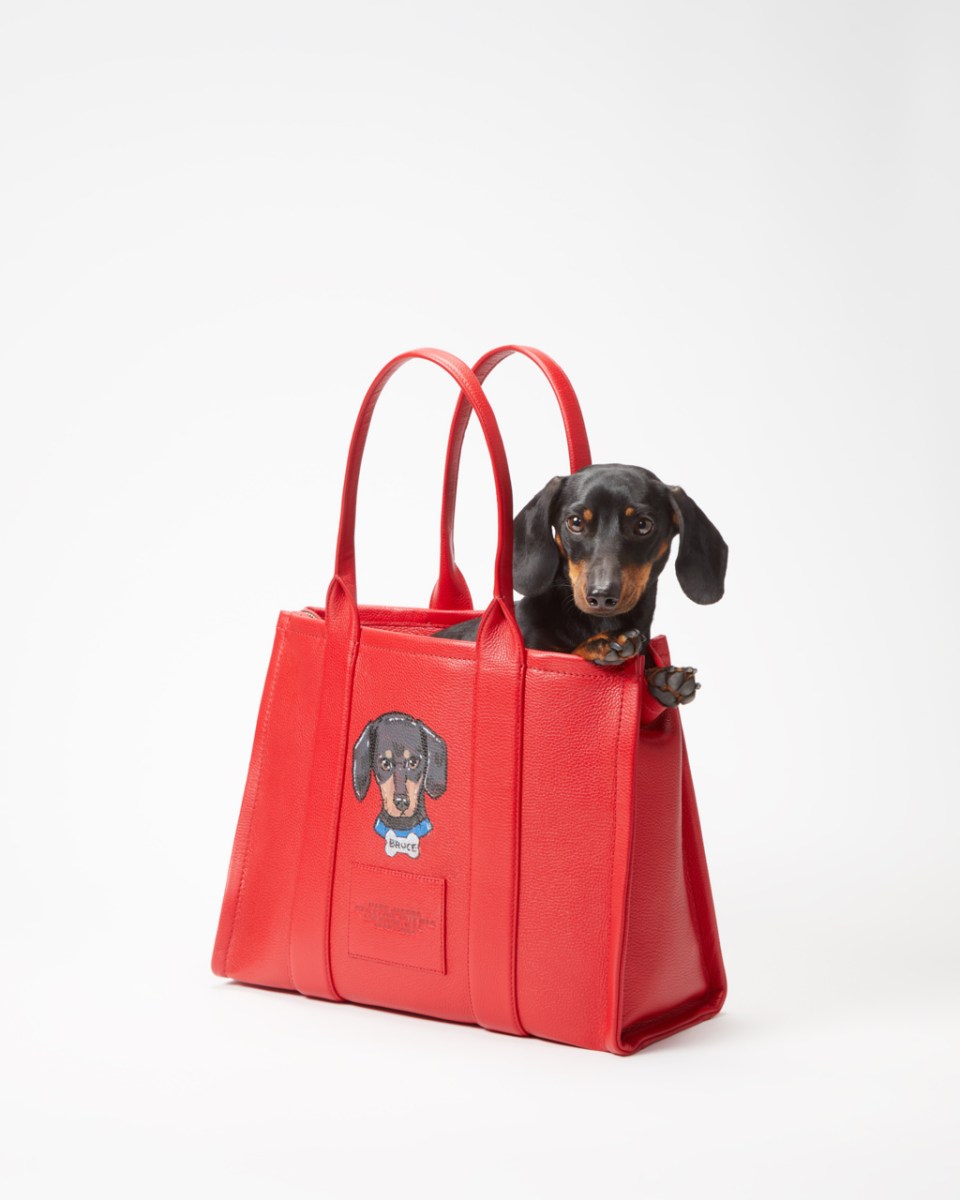 A daschund sits in a custom Marc Jacobs red tote bag with a portrait painted on it