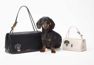 a daschund sits next to two Marc Jacobs bags with his portrait painted on the side.