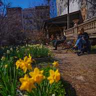 EXCLUSIVE: Outgoing Mayor Adams pushes for final agreement to save Elizabeth Street Garden in Manhattan 6 Flowers at Elizabeth Street Garden.