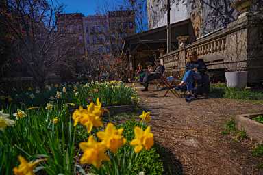 Flowers at Elizabeth Street Garden.